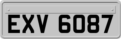 EXV6087