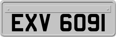 EXV6091
