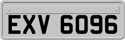 EXV6096