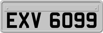 EXV6099