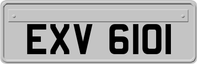 EXV6101