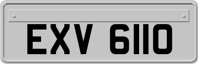 EXV6110