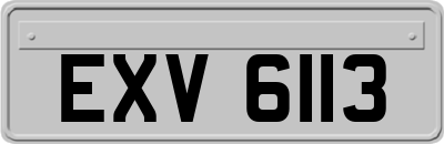 EXV6113
