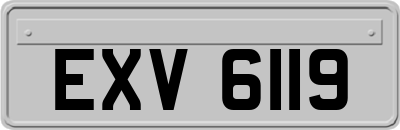 EXV6119