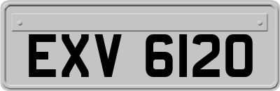 EXV6120