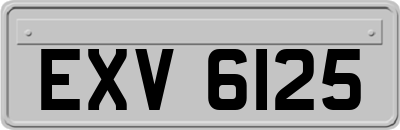 EXV6125