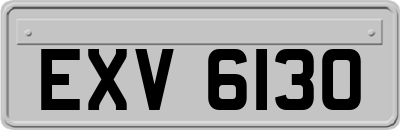 EXV6130