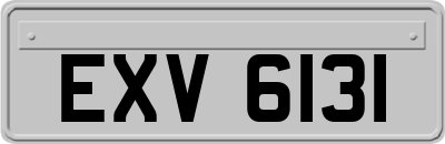 EXV6131