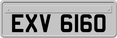 EXV6160