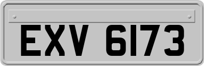 EXV6173