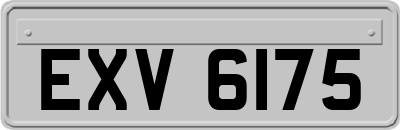 EXV6175