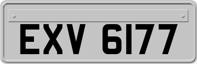 EXV6177