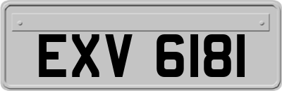 EXV6181