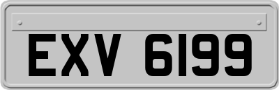 EXV6199