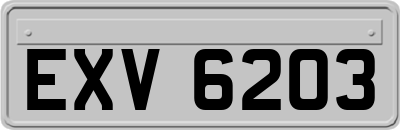 EXV6203