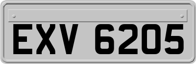 EXV6205