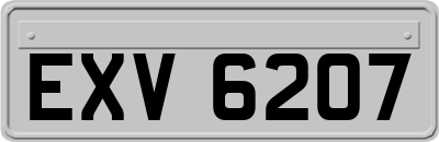 EXV6207