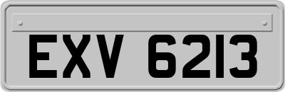 EXV6213