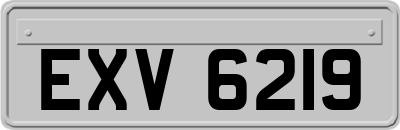 EXV6219