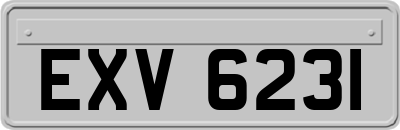 EXV6231