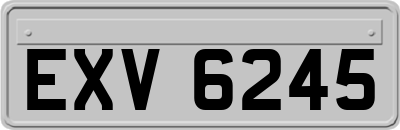EXV6245