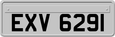EXV6291