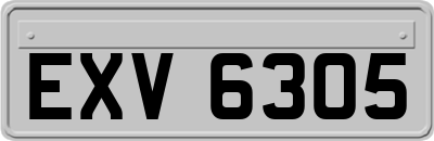 EXV6305