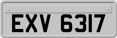 EXV6317