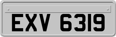 EXV6319