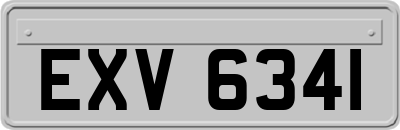 EXV6341