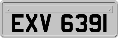 EXV6391