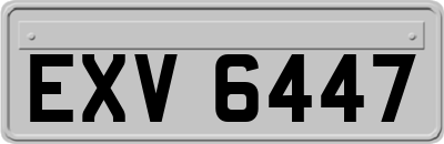 EXV6447