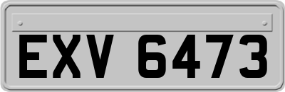 EXV6473