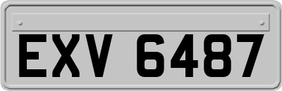 EXV6487