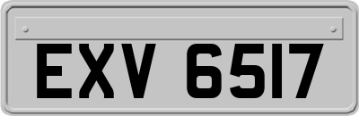 EXV6517