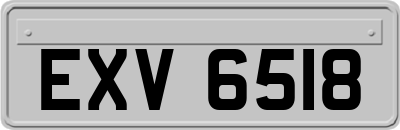 EXV6518