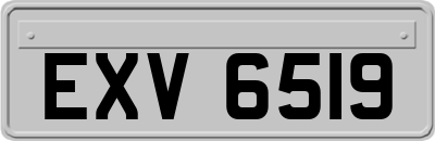 EXV6519