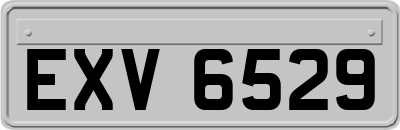 EXV6529