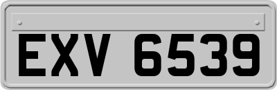 EXV6539