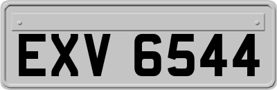 EXV6544