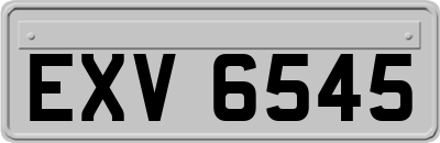 EXV6545