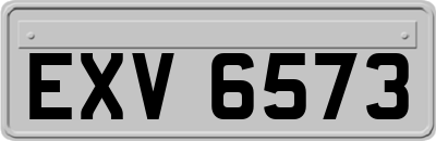 EXV6573