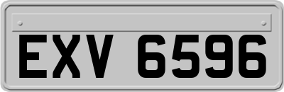 EXV6596