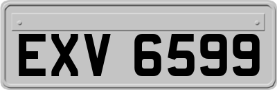 EXV6599
