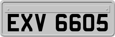 EXV6605