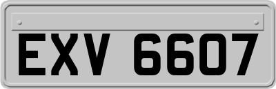 EXV6607