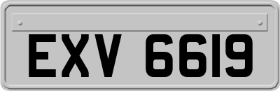 EXV6619