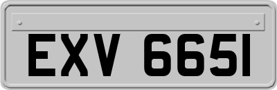 EXV6651