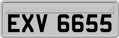 EXV6655