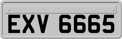 EXV6665